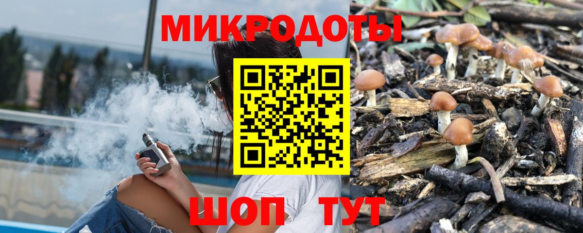 Галлюциногенные грибы прущие грибы  Вход с VPN  Балашов 