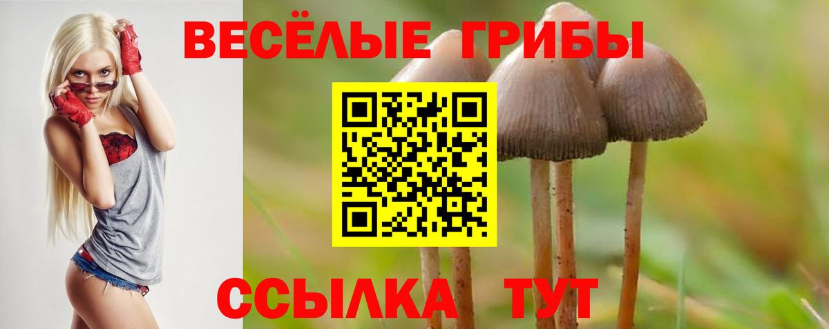 Псилоцибиновые грибы ЛСД Балашов